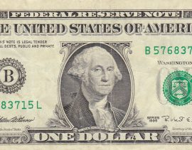dollari