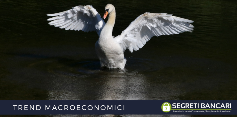 Come prepararsi al prossimo cigno nero