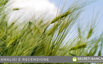Conviene investire in commodities nel 2023?
