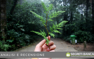 Sustainability linked bonds: cosa sono e come funzionano