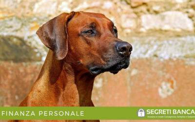 Cosa fa come funziona e come vigila la CONSOB