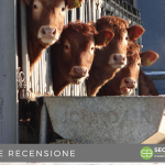 moneyfarm sicura conviene