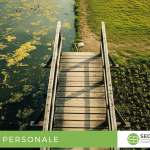 investire-liquidita-in-obbligazioni